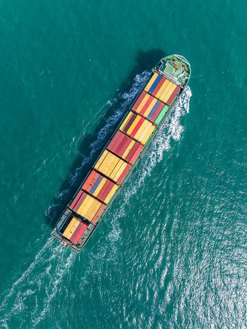 出入境动植物检疫的主要程序