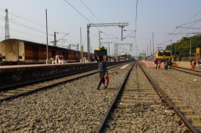 调味品采取高雄跨境海空联运速递到澳洲阿德莱德(Adelaide)