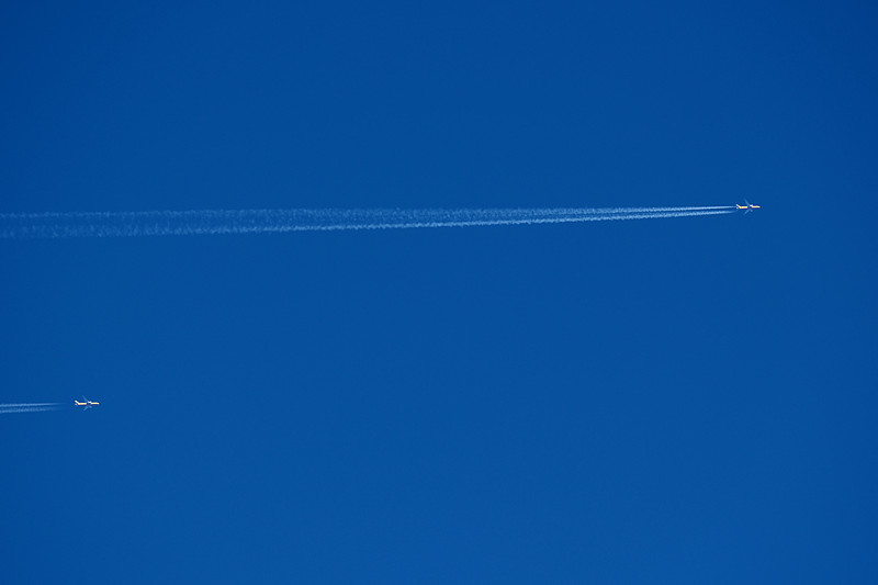 上海水产品采用普货空运11天内送到澳洲布里斯班