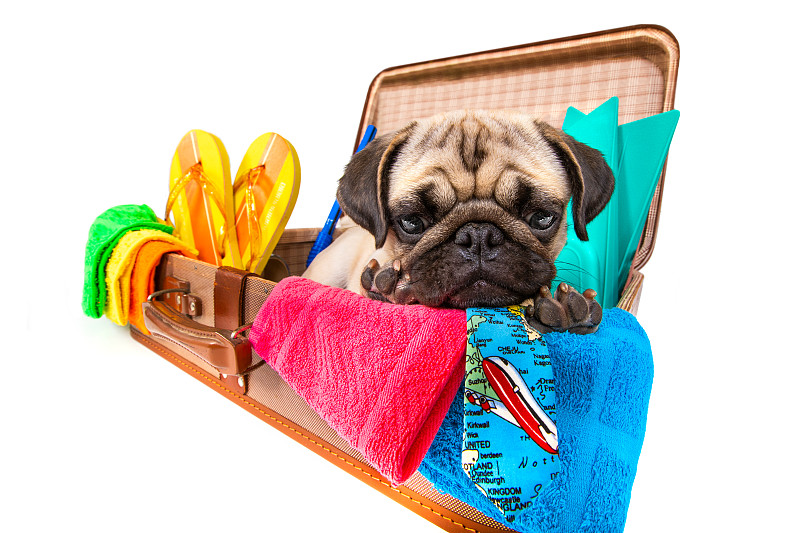 集成电路使用中国南京标准空运配送到澳洲肯布拉港(PortKembla)