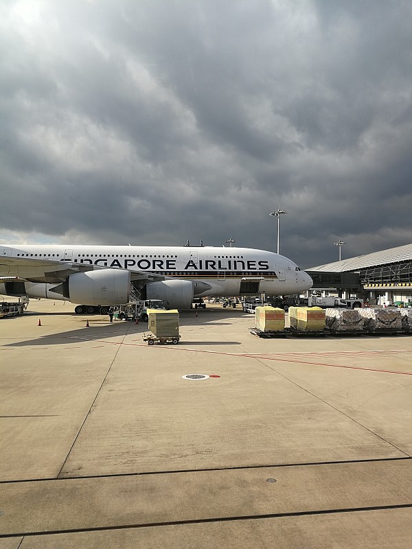 中国天津至达尔文的美妆蛋使用空运门到门专线14天送到