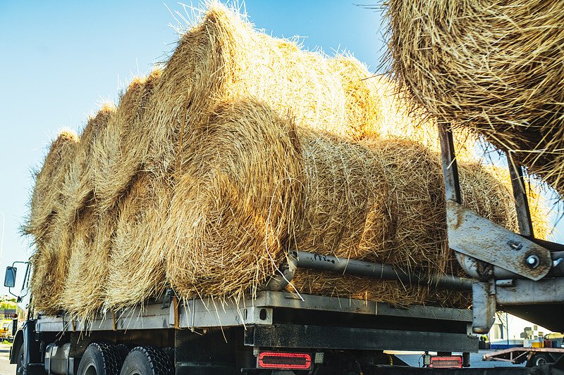 木家具经中国深圳海运派送到德文波特 (Devonport)