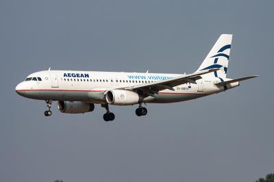 中山到澳大利亚纽卡斯尔的狗零食采用国际航空货运5天速递到