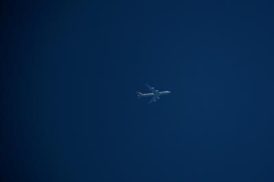 哈尔滨到澳洲奥尔巴尼的灯具使用空运派送6天内送达