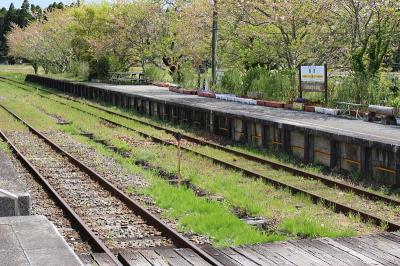 黑加仑籽通过中国上海多式联运运抵澳洲奥尔巴尼(Albany)