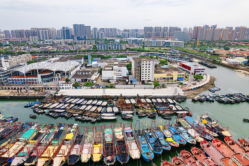 前7个月,青岛港新能源汽车出口激增1617% 前7个月,青岛港新能源汽车出口激增1617%