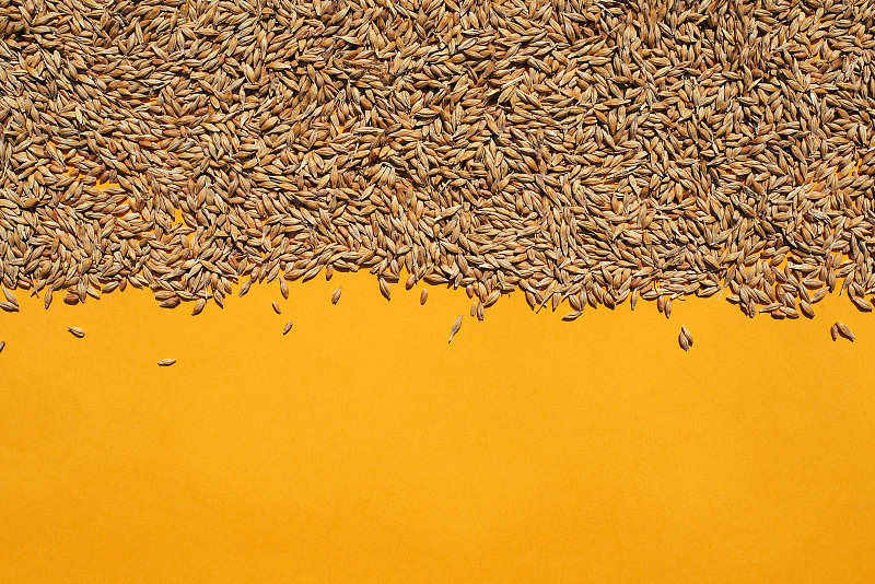 随着货运量的增加,马斯特里赫特增加更多的货运航班 随着货运量的增加,马斯特里赫特增加更多的货运航班