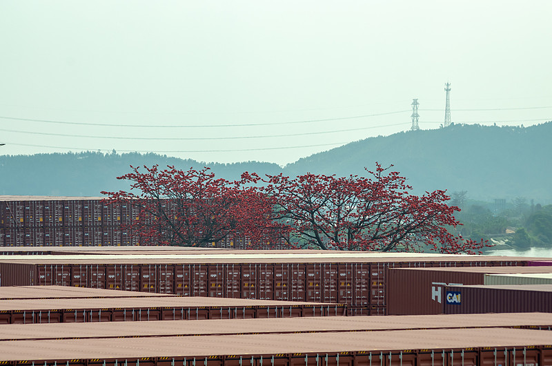 山东港口日照港:从传统到现代的升级之变 山东港口日照港:从传统到现代的升级之变