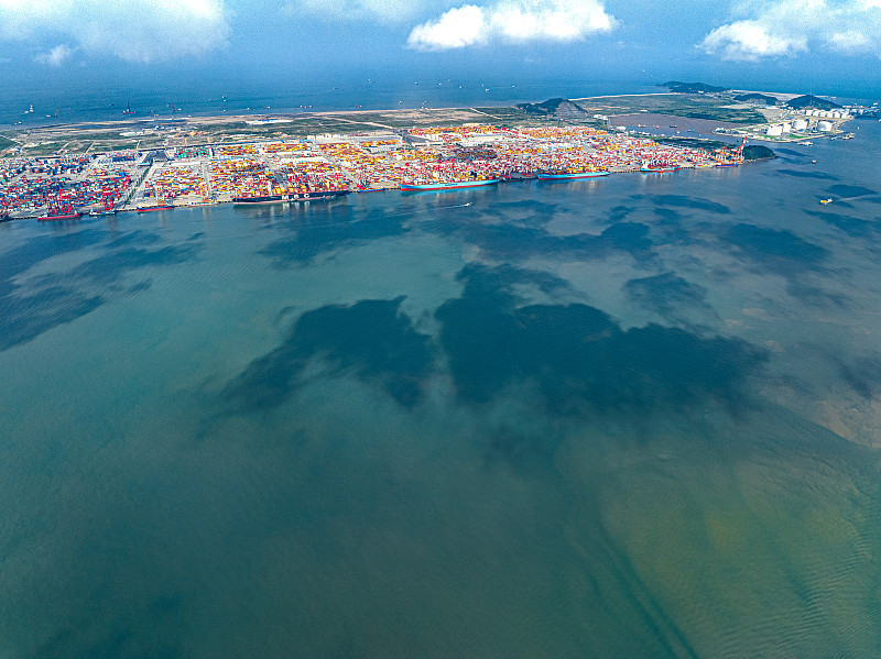 美森快船多少钱一公斤？美森快船最新价格表？