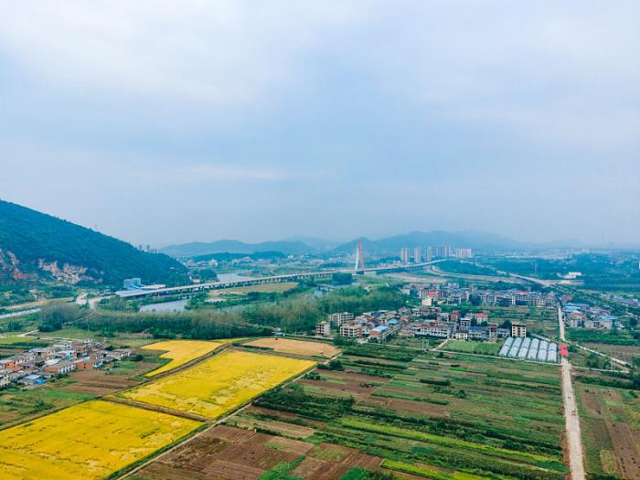 莱阳市好又快物流有限公司有关概要