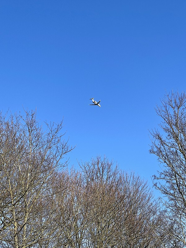 中国广东东莞到孟加拉国电商小包专线