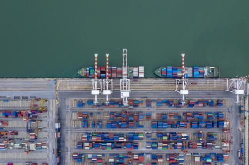 中国浙江杭州到喀麦隆冷藏船整舱运输海运专线
