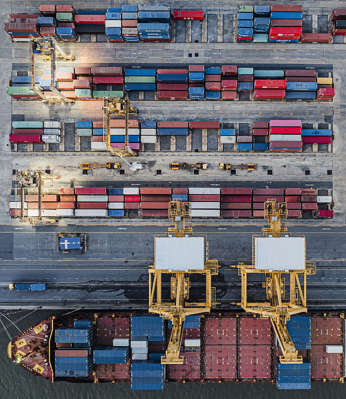 通过中国佛山狗寄到英国普利茅斯