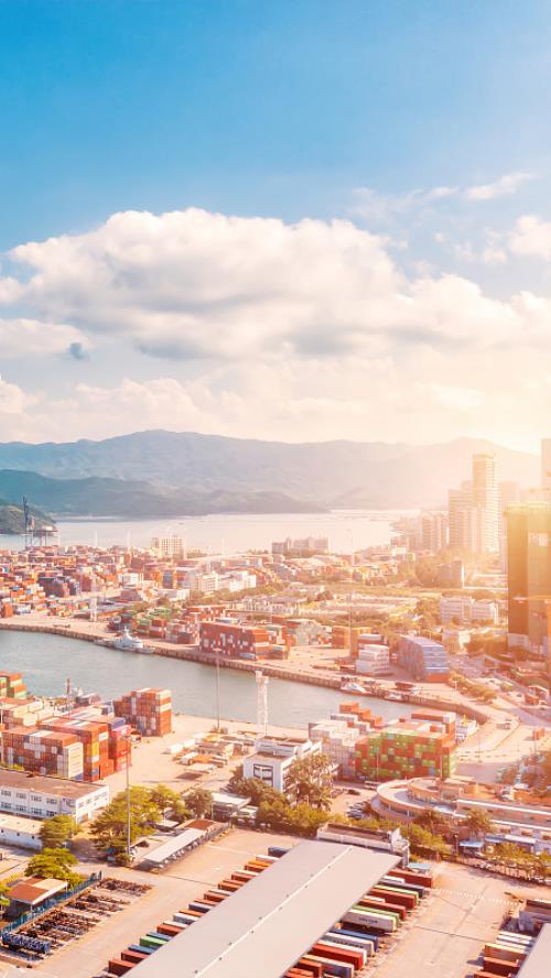 中国青岛到英国贝尔法斯特冷藏船整舱运输冷链保障专线