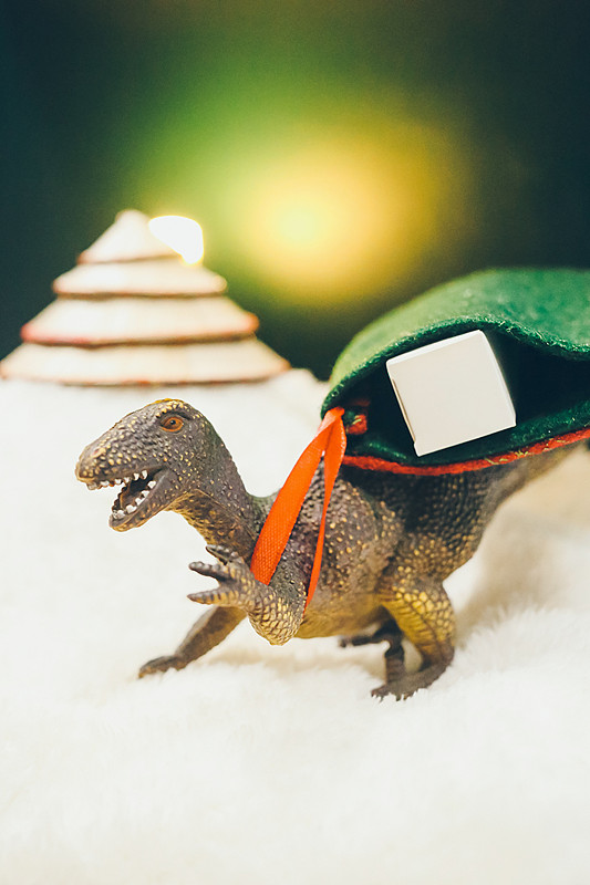 东莞长安Fedex国际快递2019价格表