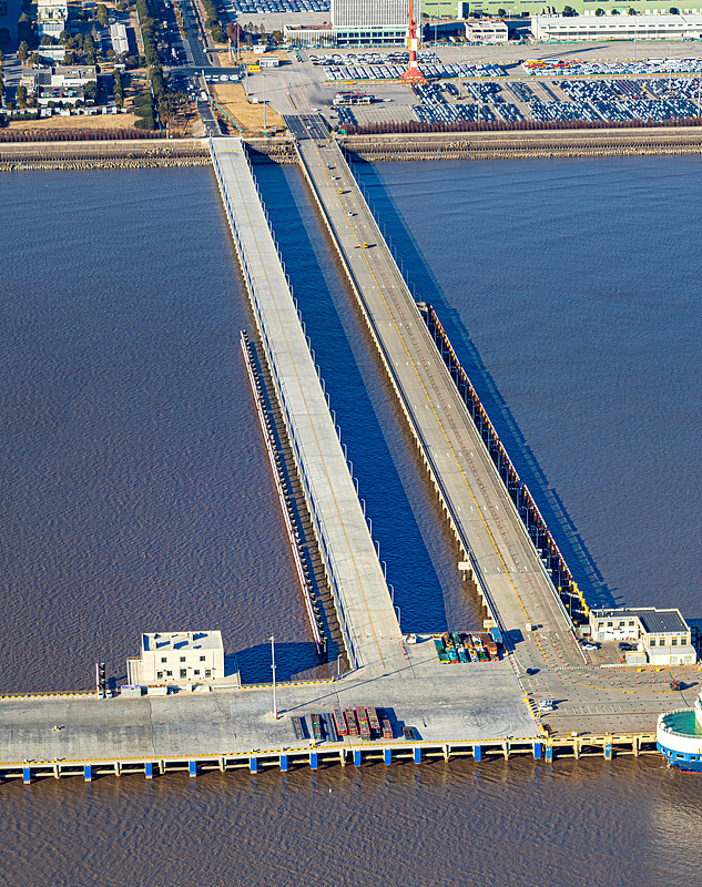 “形式报关单”填制的注意事项