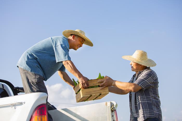 中国国际物流公司排名前十的有哪些 中国国际物流公司排名前十的有哪些