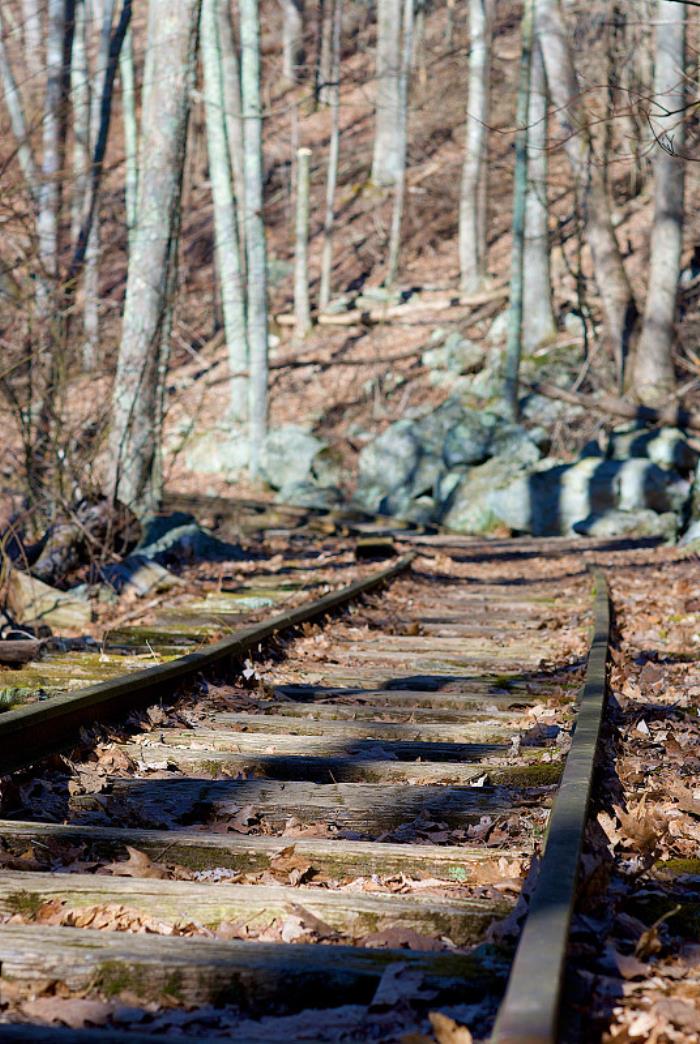 甘肃武威利景盛远商贸物流有限公司 甘肃武威利景盛远商贸物流有限公司