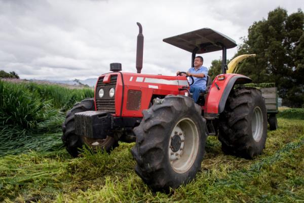 东兴冠捷物流有限公司