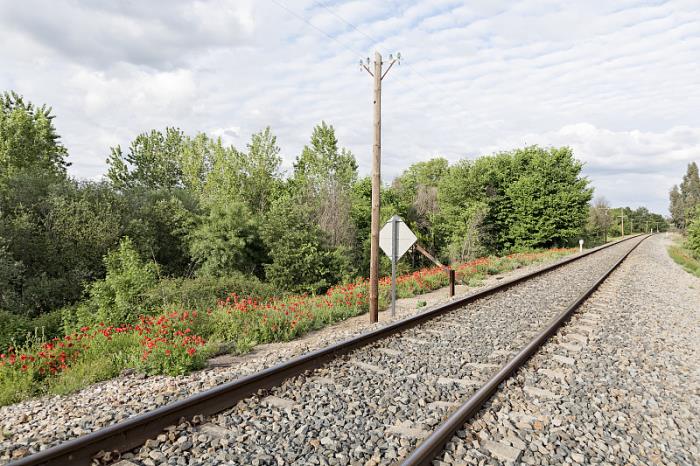 广州同盈物流有限公司