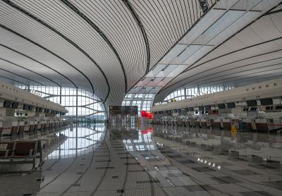 东莞市极速物流咨询有限公司