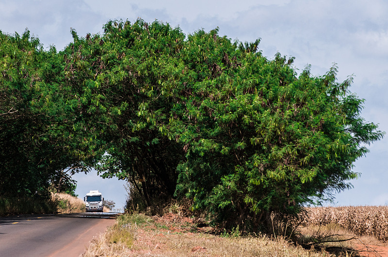 广州宝成物流有限公司