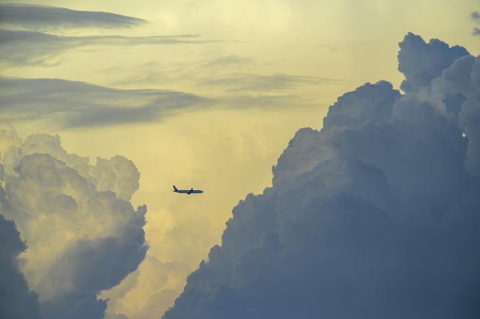 深圳市利宾国际物流有限公司