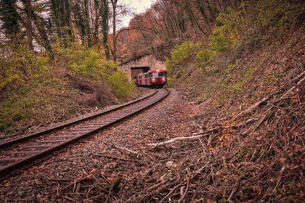 广西华旭物流有限公司