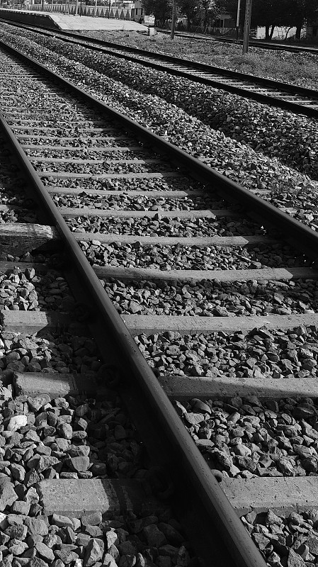 东莞市飞鸿物流有限公司