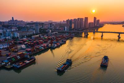 深圳市歌扬物流有限公司