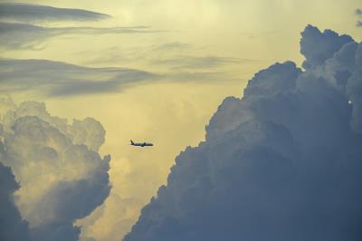 深圳市利宾国际物流有限公司