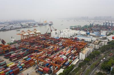 广西自贸区巨海国际物流有限公司