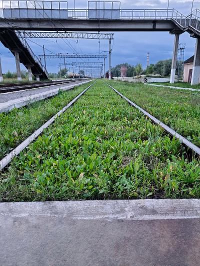 深圳市汉昌联合国际物流有限公司