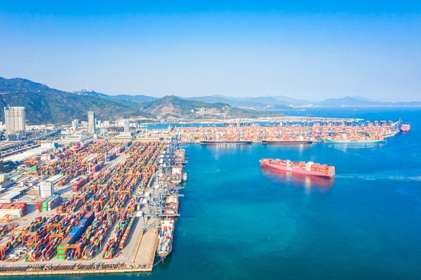 阳明海运被澳大利亚要求支付亿元清理费